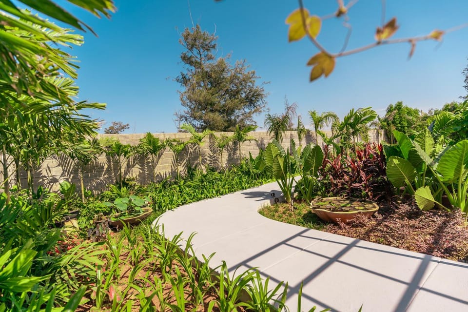 Garden view