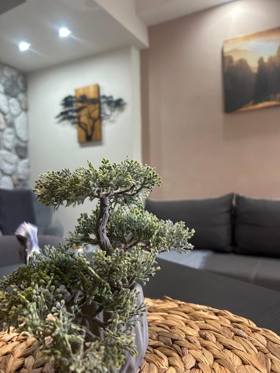 Catch n relax Apartment in Kalabaka