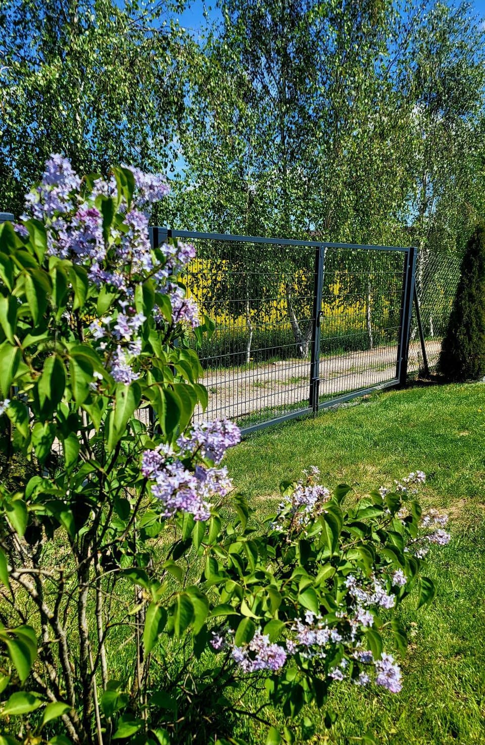Garden view