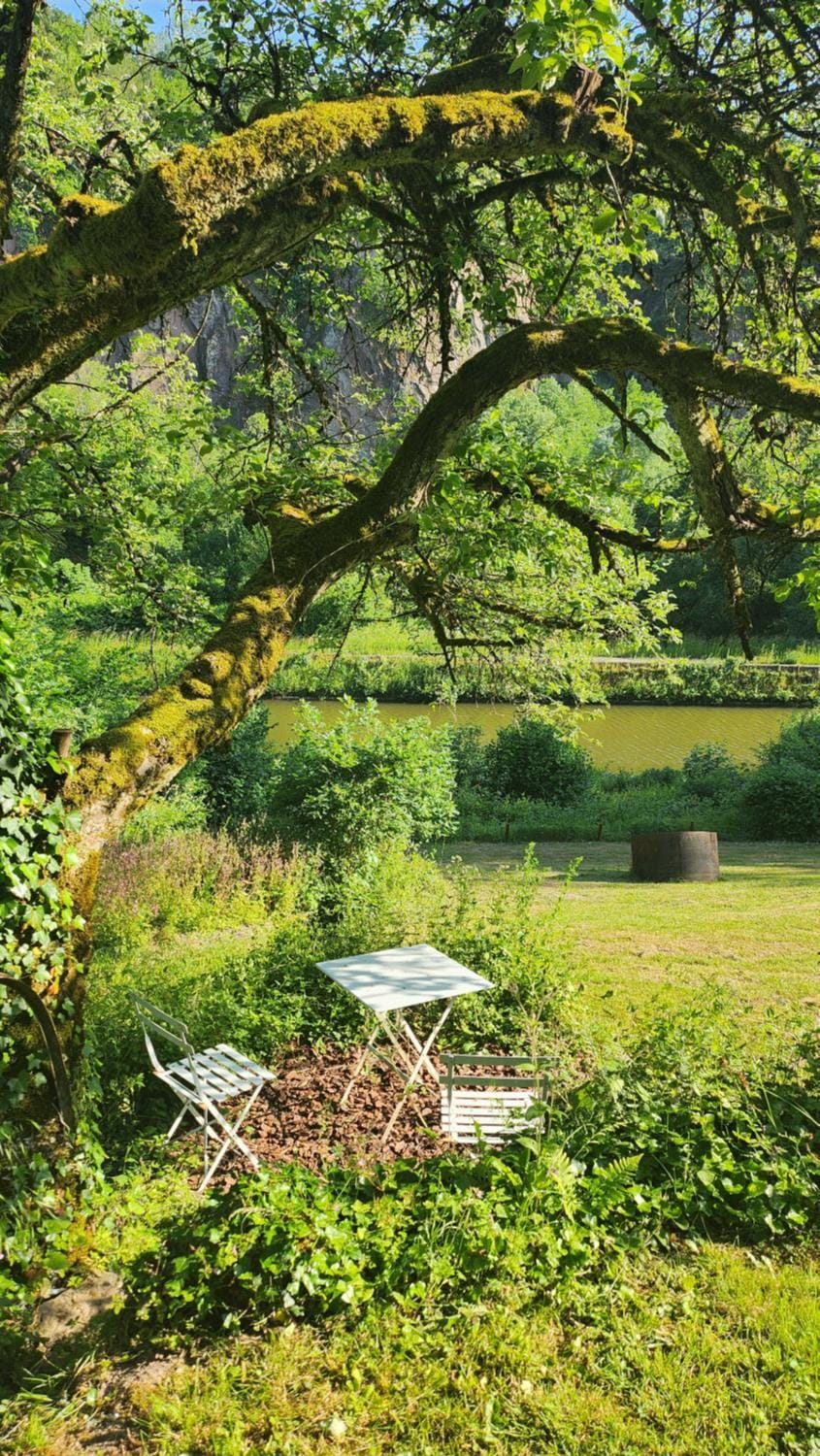 Day, Natural landscape, Garden, Garden, Balcony/Terrace