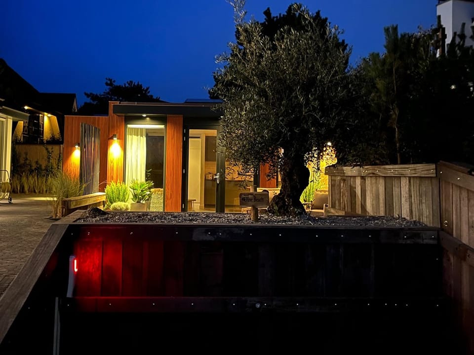 Olive Beach, luxury beachhouse 150 m from the beach Apartment in Noordwijk