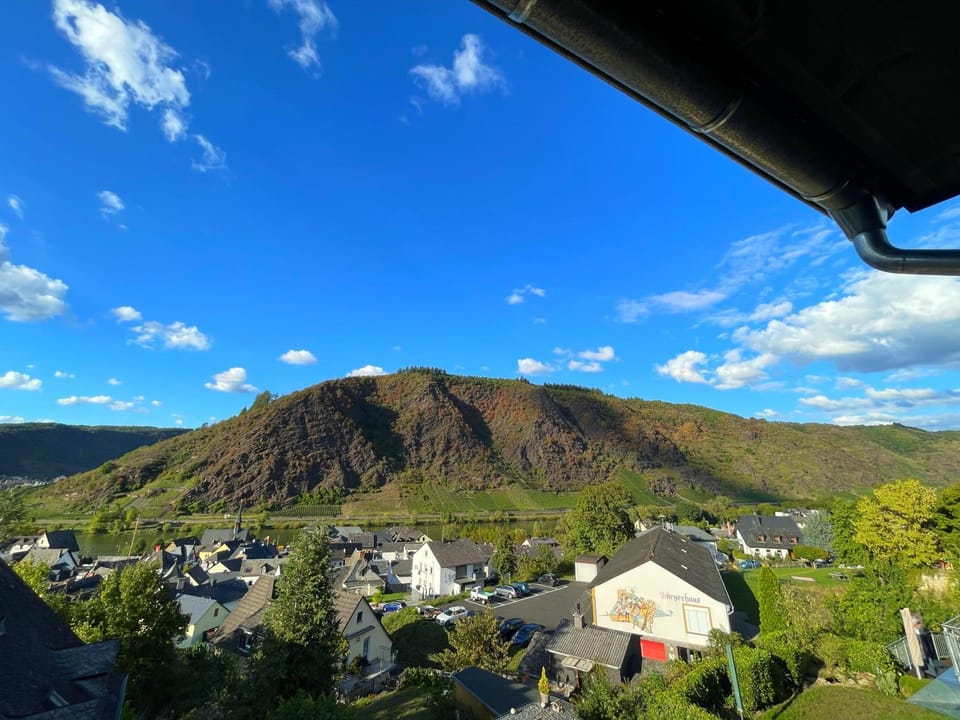Fewo Burg,Mosel,Tal-Blick Apartment in Cochem-Zell