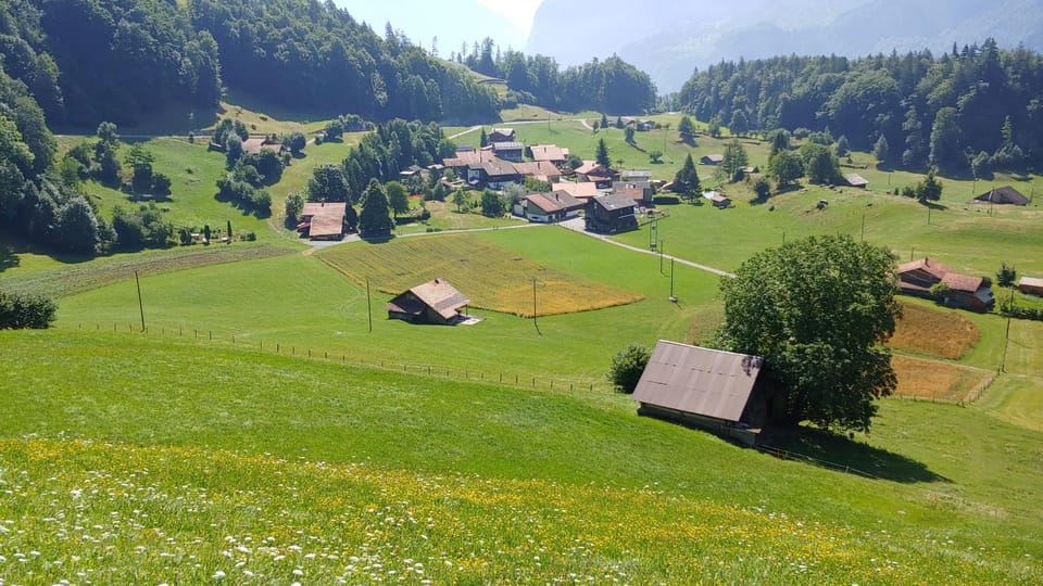 Natural landscape