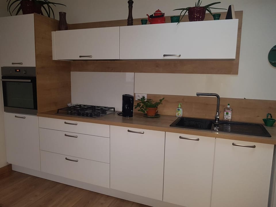 dishwasher, pet friendly, stove