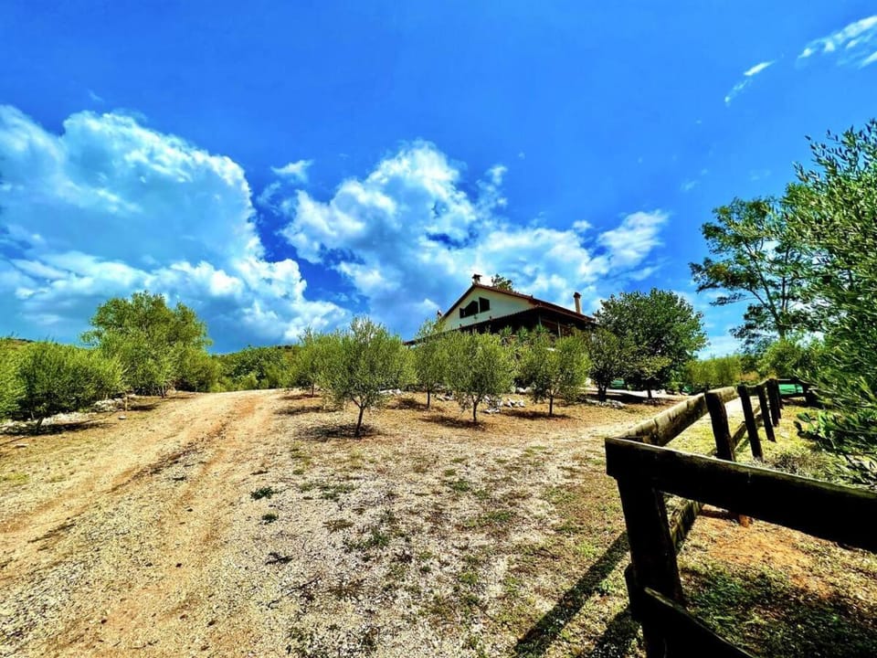 Day, Natural landscape, Garden