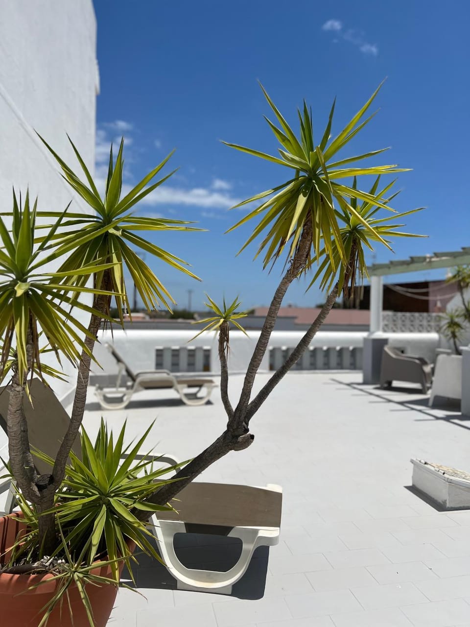 Vila do Sol House in Fuseta