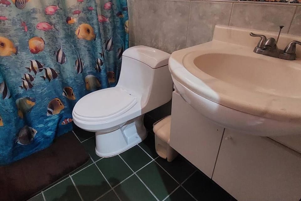 Shower, Toilet, Bathroom, Bath