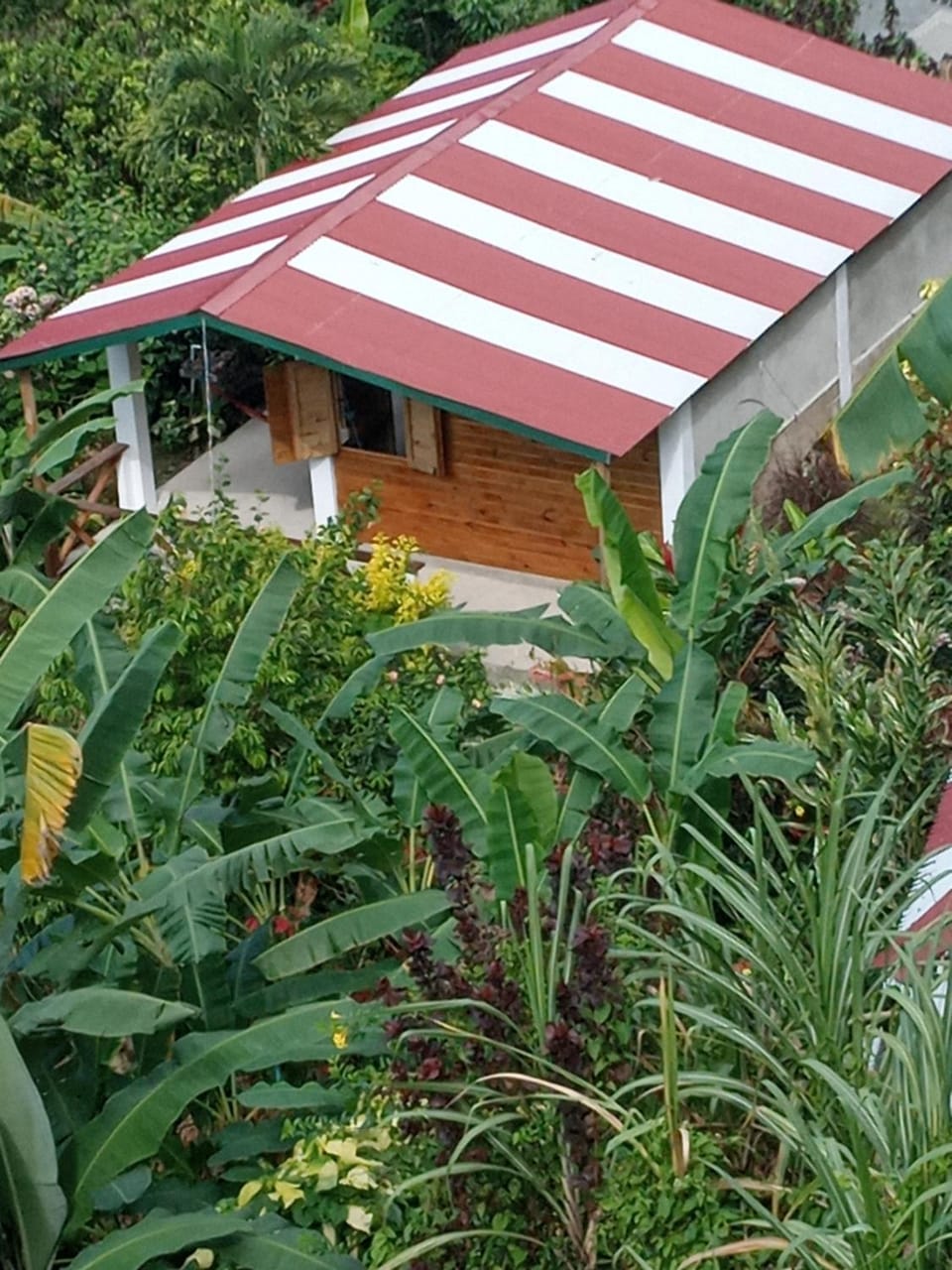 Berkey's Jungle Paradise House in Dominica