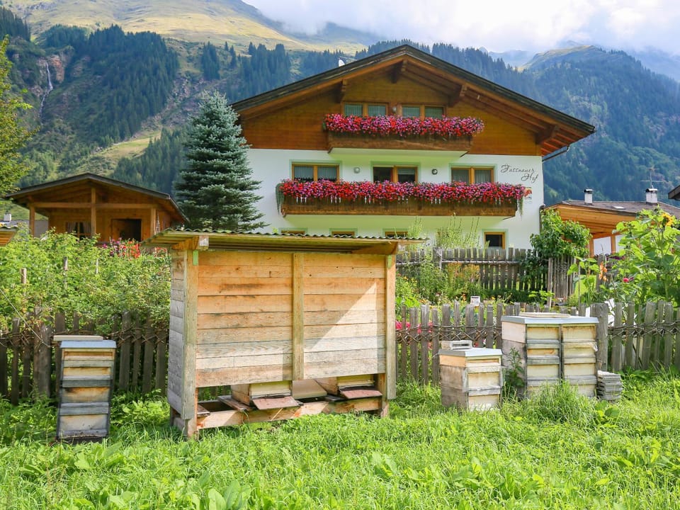 Property building, Garden, Animals