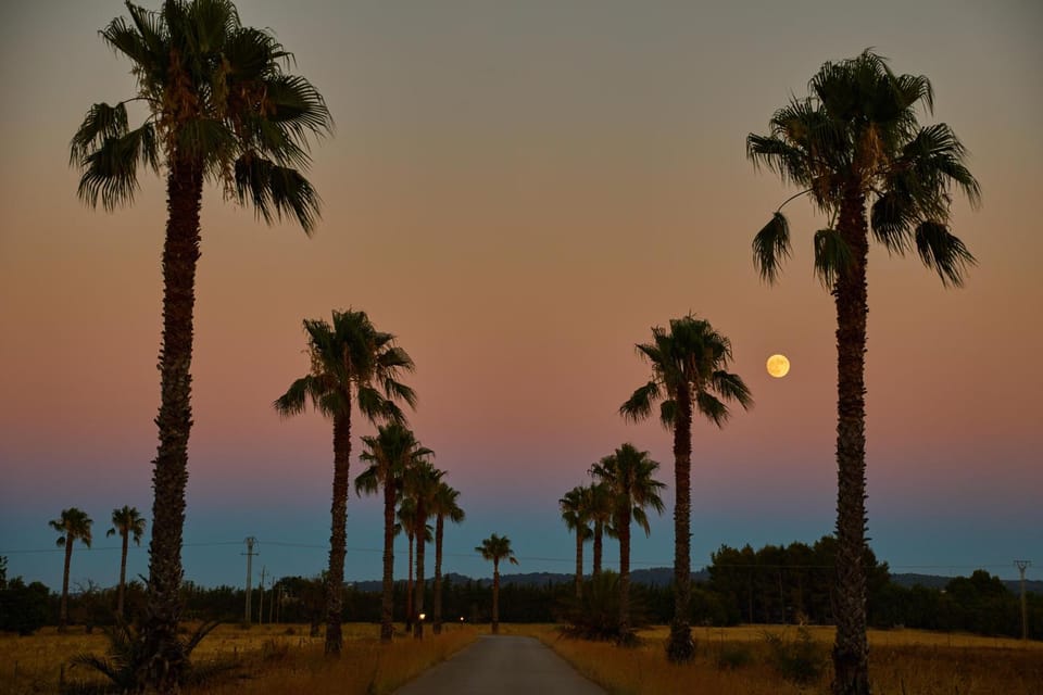 Natural landscape