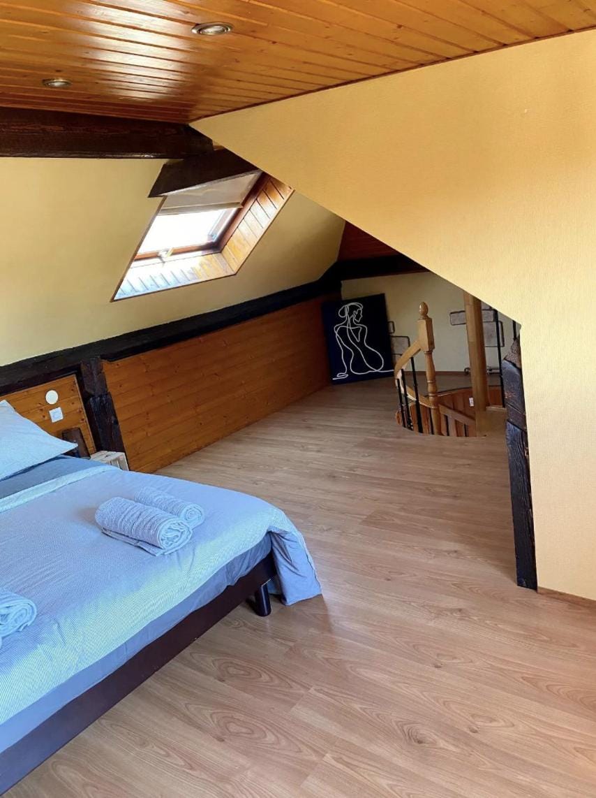 L’Alsacien Cosy : Duplex - Netflix - Wifi/Fibre Apartment in Mulhouse