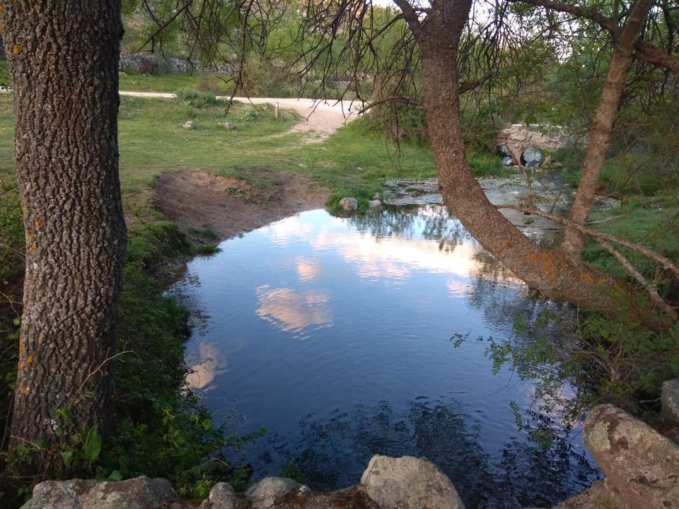 Natural landscape