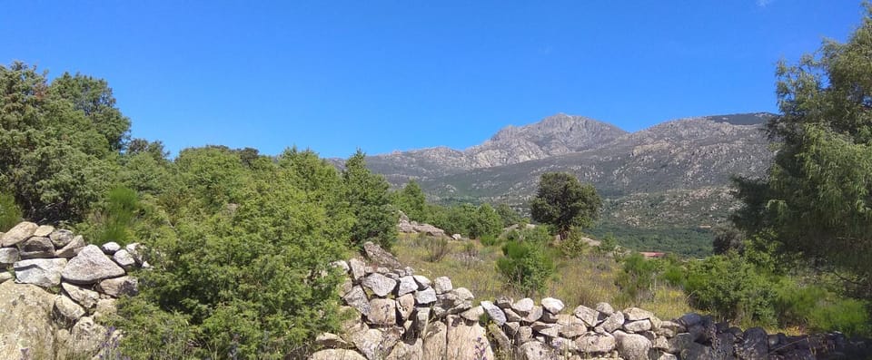 Natural landscape