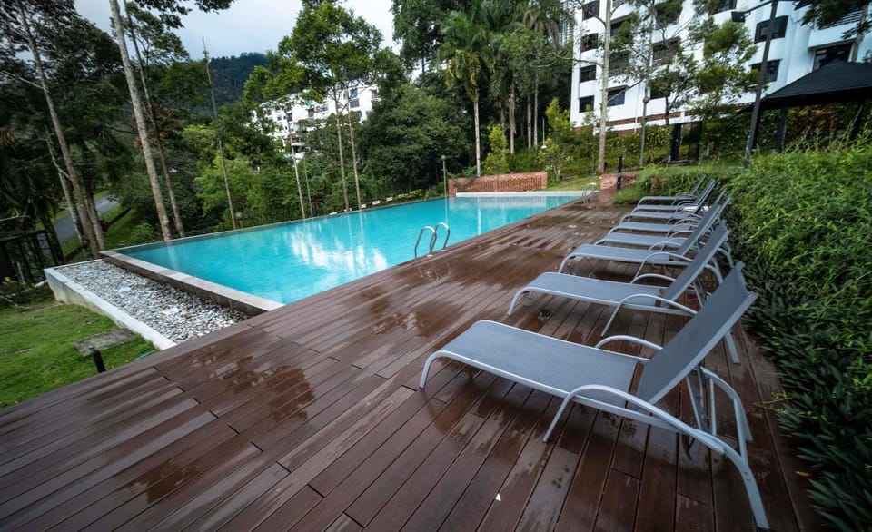 Day, Garden, Garden view, Pool view, Swimming pool, Swimming pool, sunbed