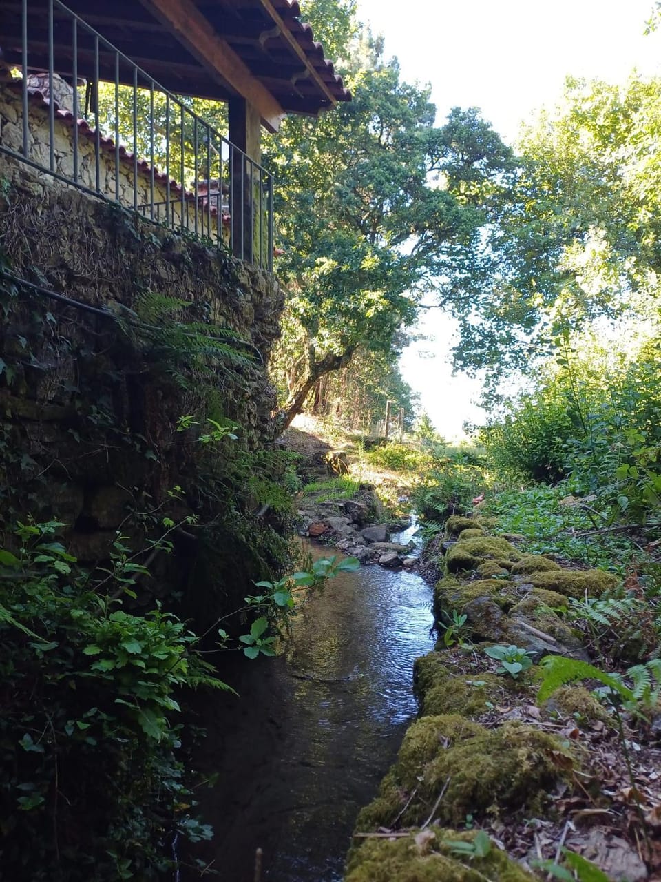 Natural landscape, River view