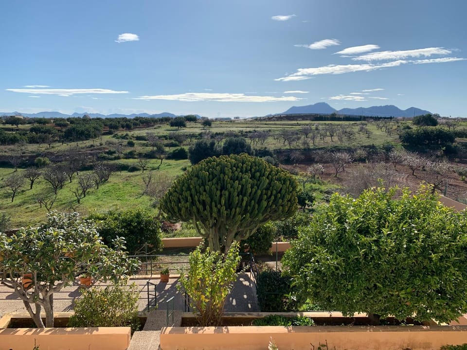 Eco Espacio Camaleón Verde 2 Bed and Breakfast in Region of Murcia