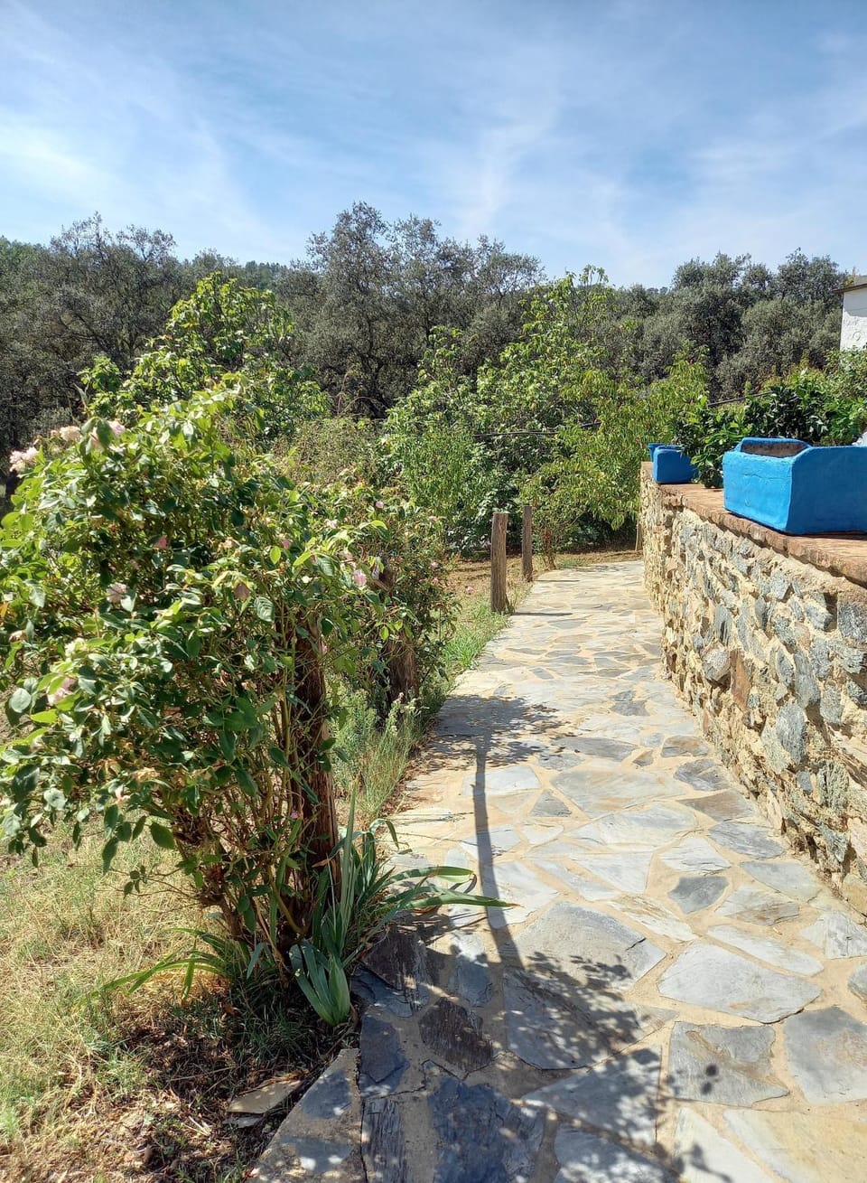 La Encina Casa Rural House in Sierra de Huelva