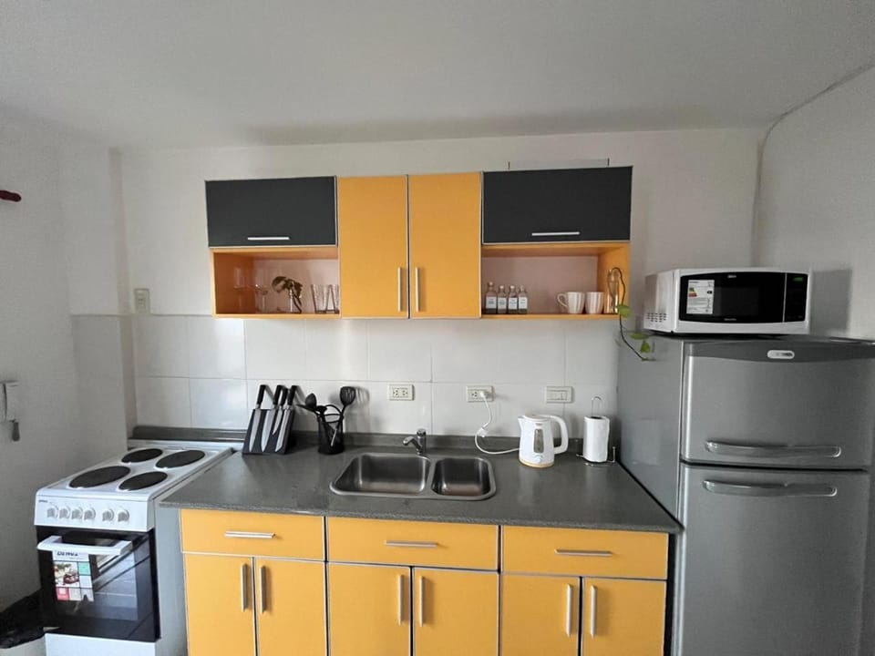 Coffee/tea facilities, Kitchen or kitchenette, minibar, stove