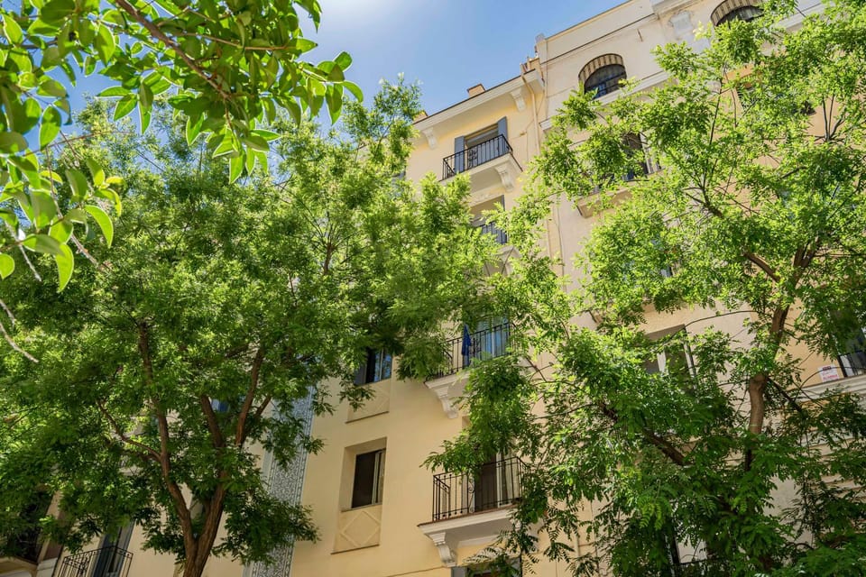 Quiet and cosy flat in N. Salamanca Apartment in Madrid
