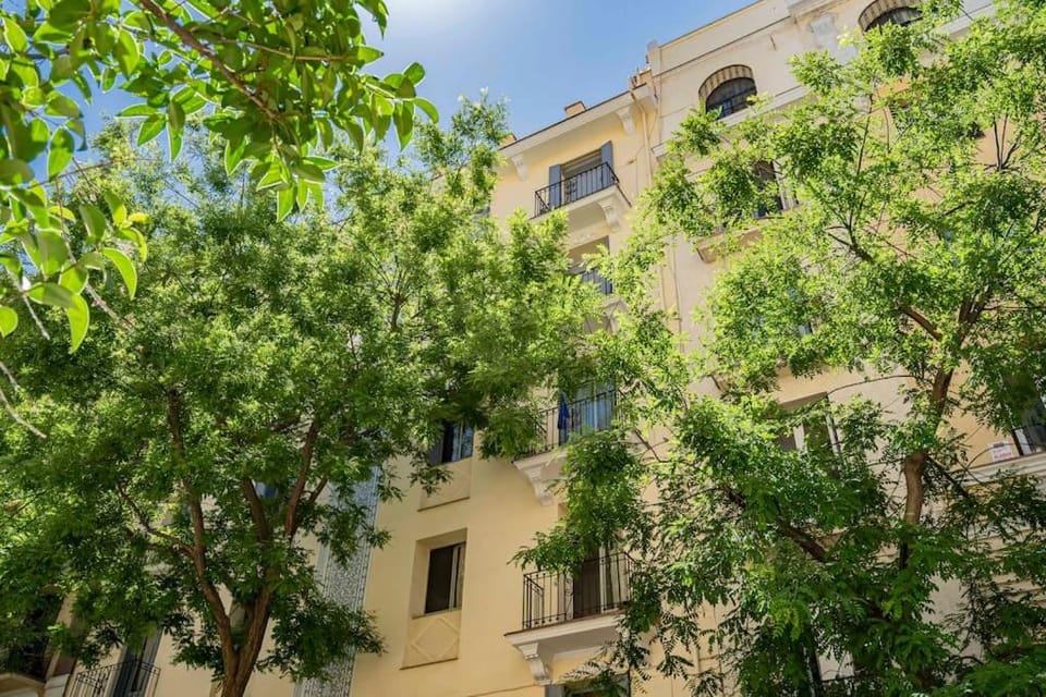 Quiet and cosy flat in N. Salamanca Apartment in Madrid