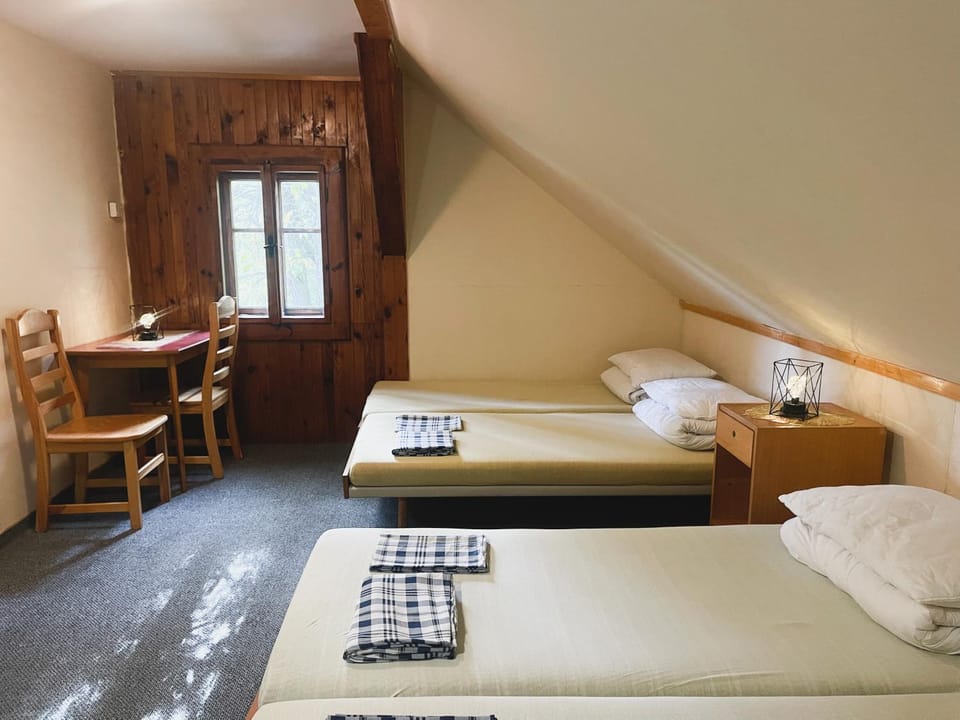 Bed, Photo of the whole room, Seating area, Area and facilities