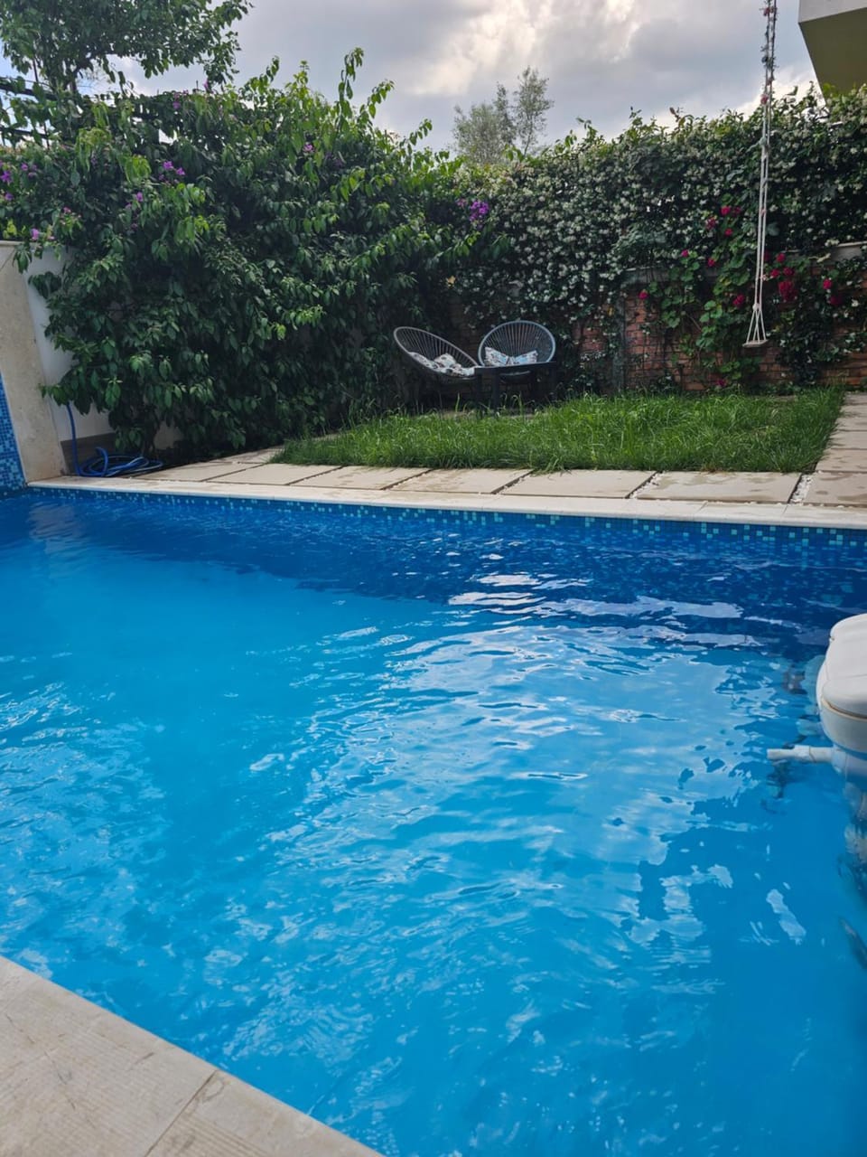 Garden, Pool view, Swimming pool