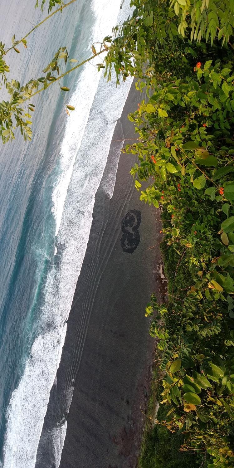 Roejas Sunset Vacation rental in Bali