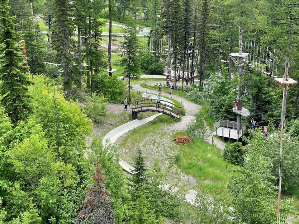 Bird's eye view, children