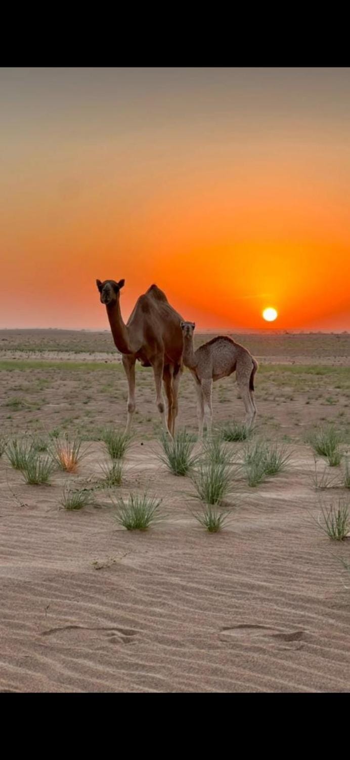Panorama Camp Bidiya Country House in Oman