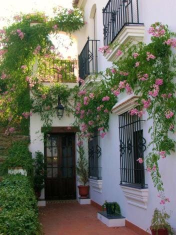 Rural Vega de Cazalla Country House in Cazalla de la Sierra