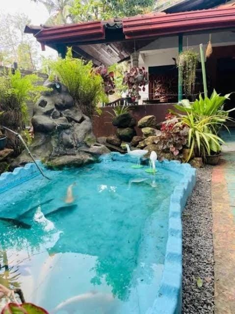 Lotus Beach Bed and Breakfast in Southern Province