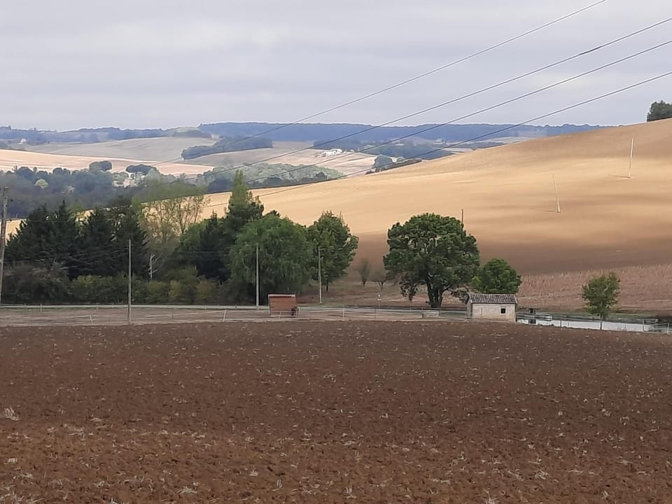 Natural landscape