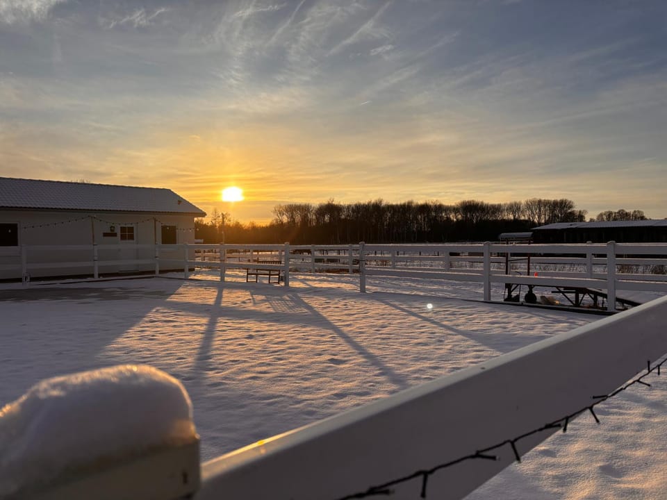 Ferienwohnungen Reiterhof Boltenhagen Apartment in Boltenhagen