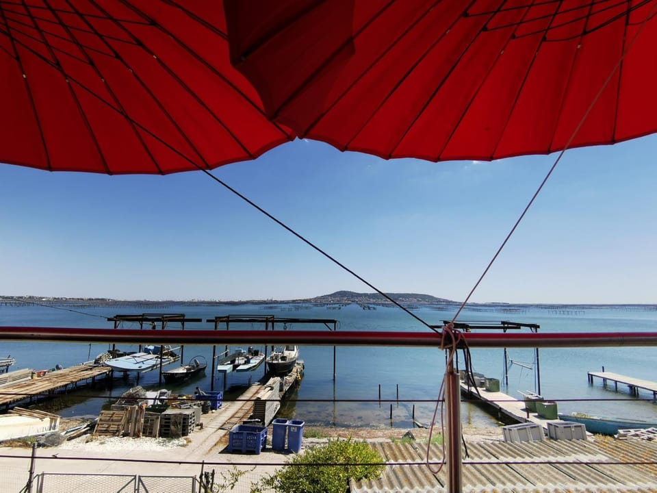 Mèze, charmant petit studio proche port Apartment in Mèze