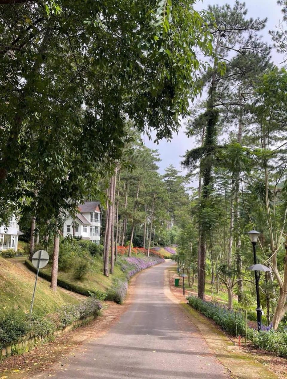 Luxury villas Tuyen lam lake view Villa in Dalat
