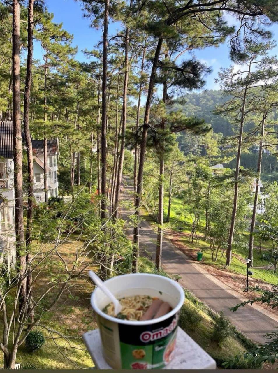 Luxury villas Tuyen lam lake view Villa in Dalat