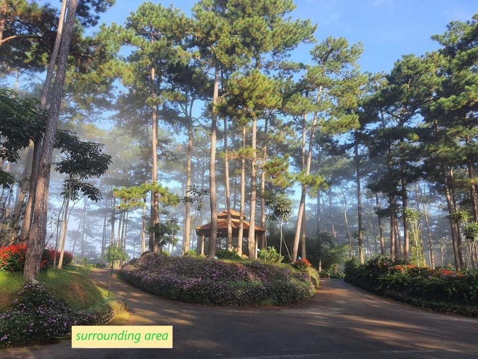 Natural landscape