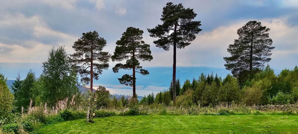 Garden, View (from property/room), Garden view, Lake view, Mountain view