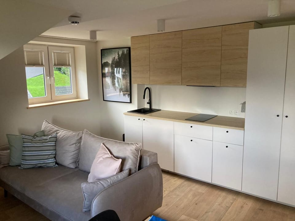 Apartament Tymon Apartment in Lower Silesian Voivodeship