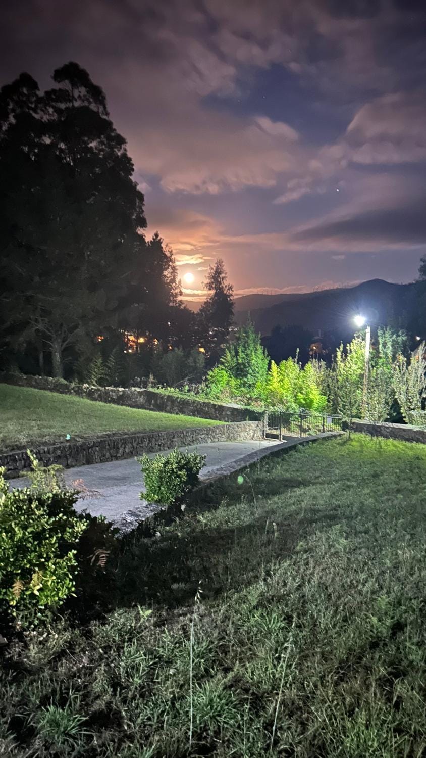 Night, Garden view