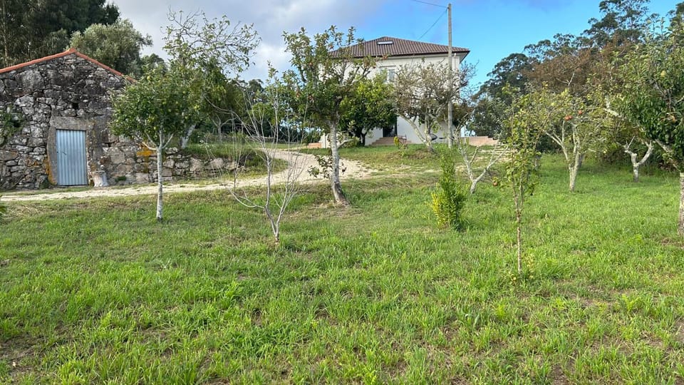 Natural landscape, Garden