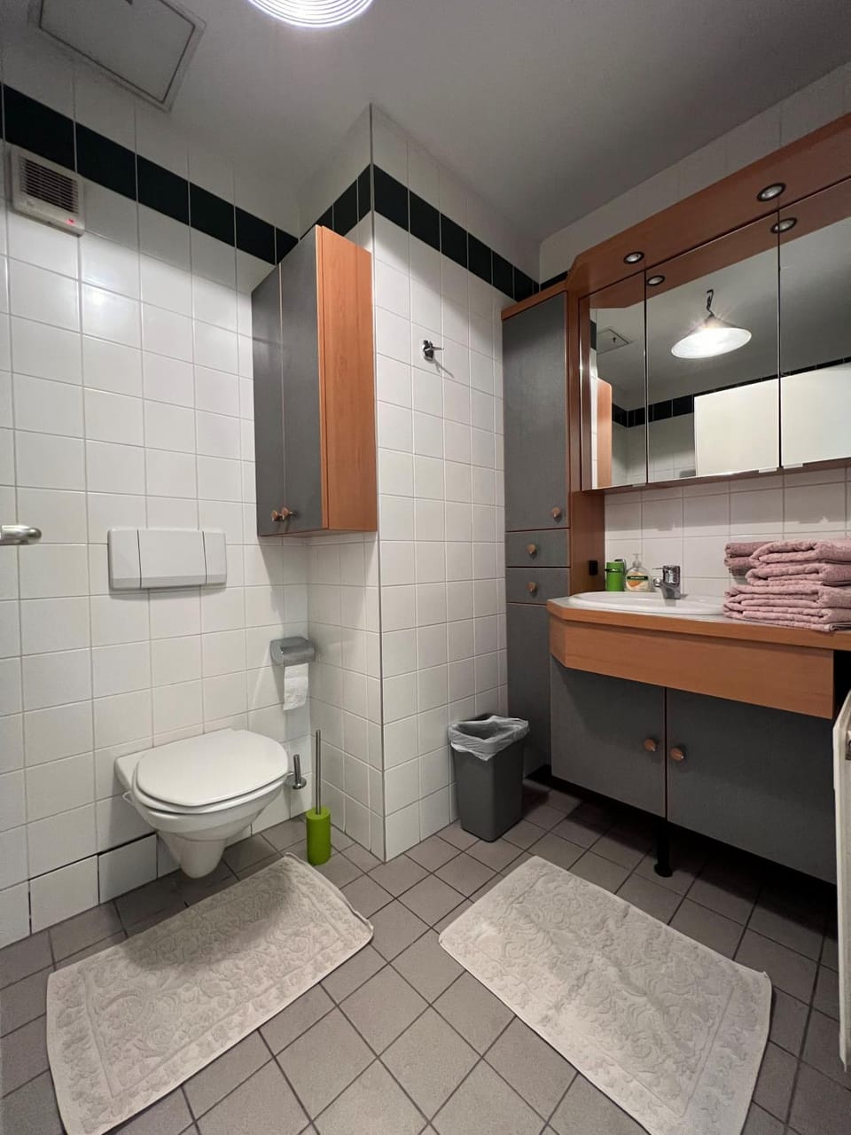 Cosy apartment in central location Apartment in Vienna