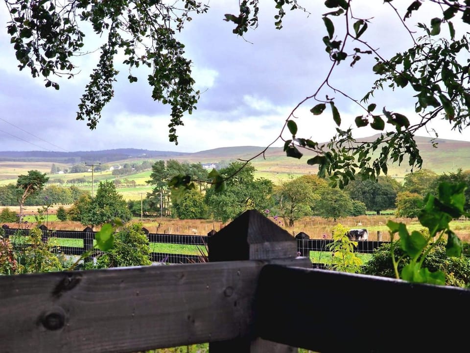 Natural landscape