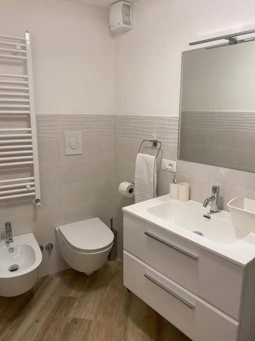 Toilet, Bathroom, bidet