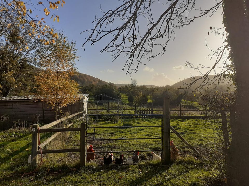 Maison d'hôtes indépendante à la campagne Bed and Breakfast in Honfleur