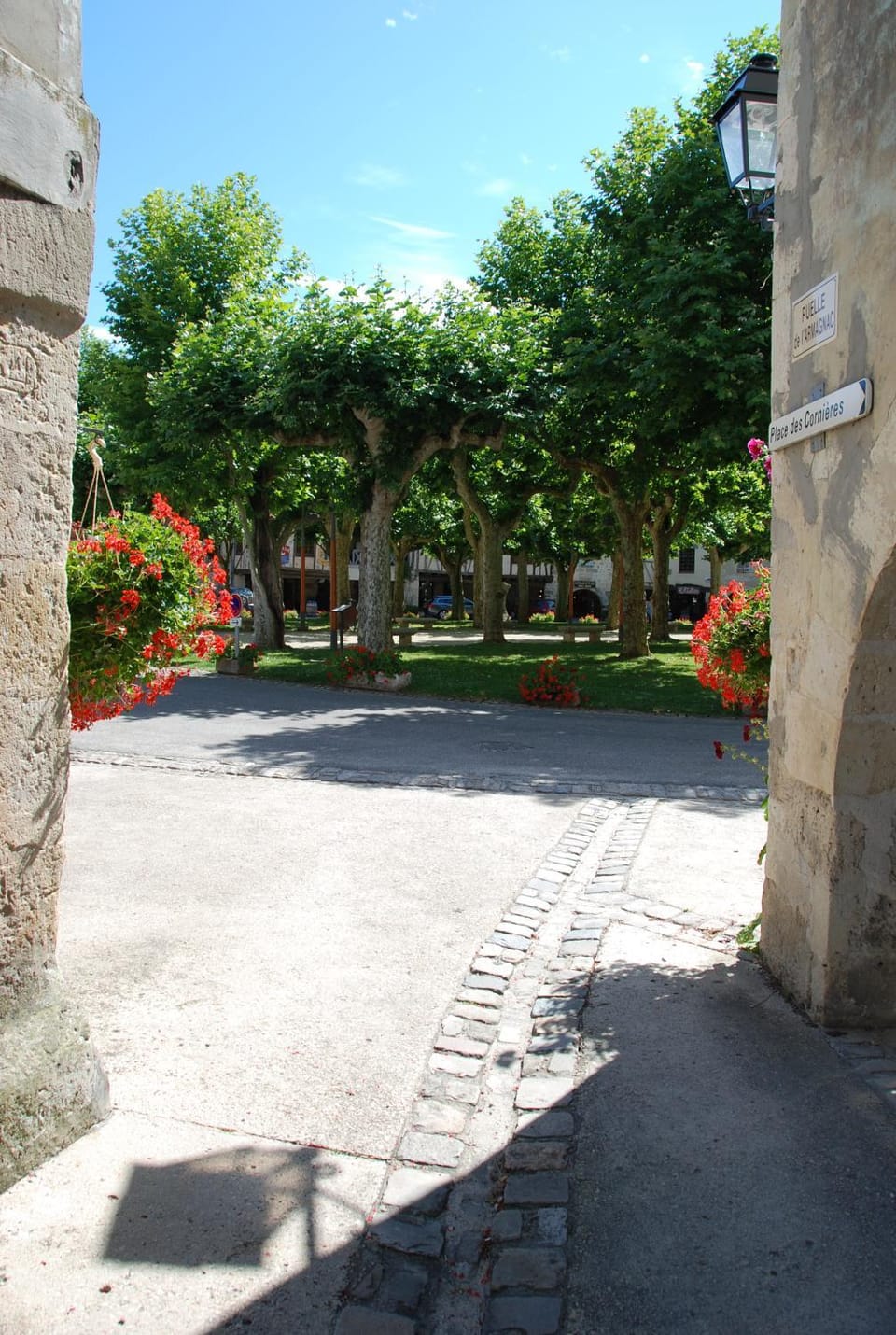 Nearby landmark, Neighbourhood, Area and facilities