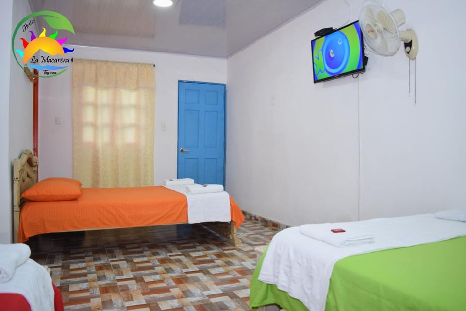 Communal lounge/ TV room, Bed, TV and multimedia, Photo of the whole room, Bedroom, towels