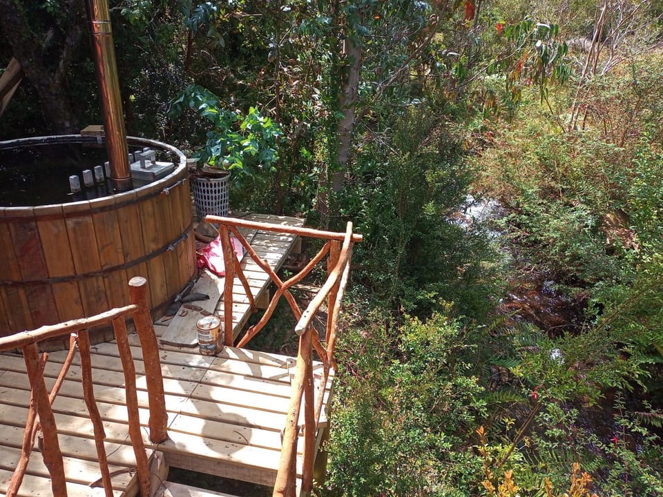 Natural landscape, View (from property/room)