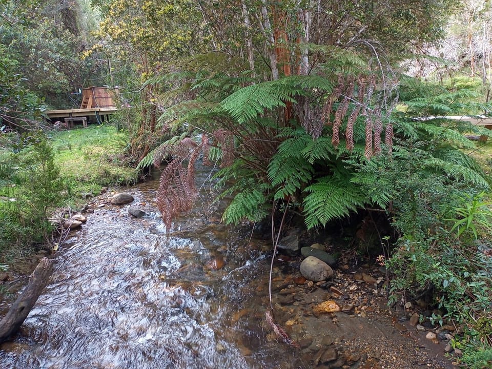 Natural landscape, Sauna
