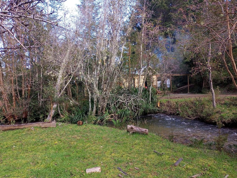 Natural landscape, Garden